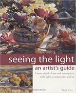 Seeing the Light An Artists Guide