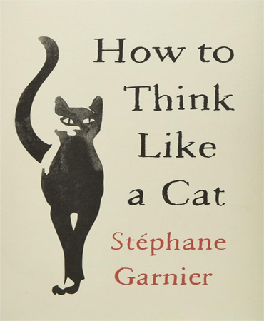 How to Think Like a Cat / چطور مثل یک گربه فکر کنیم