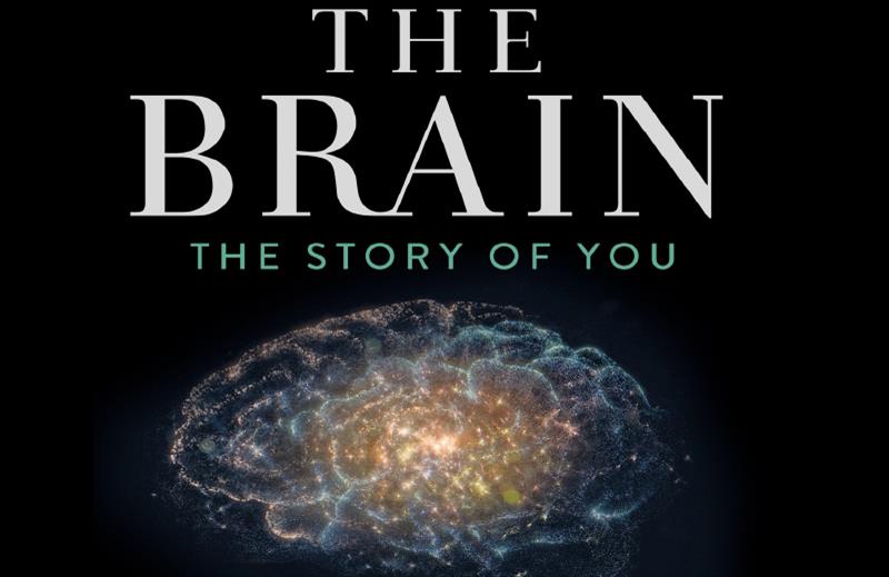 داستان مغز ؛ زندگی ما چگونه شکل می گیرد کتابی برای عموم در مورد مغز و کاردکرد آن